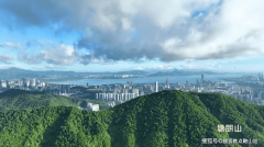 大沙河生态长廊以深圳湾为端口的